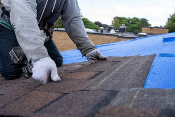 Best Storm Damage Roof Repair  in Belzoni, MS