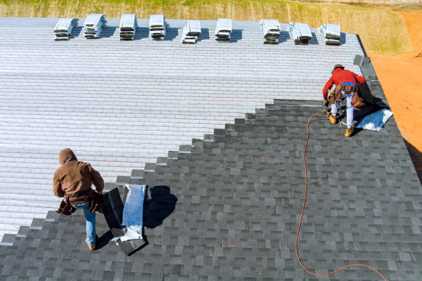 Best Metal Roofing Contractor  in Belzoni, MS